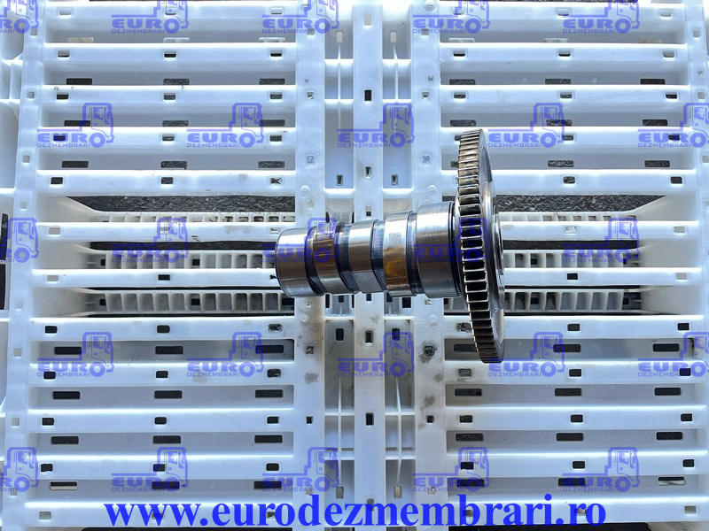 AX CU CAME POMPE DE INALTA PRESIUNE DAF XF106 MX-11 H1 1958279, 1911804, 2187738 - Bregasta osovina za Kamion: slika 1 AX CU CAME POMPE DE INALTA PRESIUNE DAF XF106 MX-11 H1 1958279, 1911804, 2187738 - Bregasta osovina za Kamion: slika 1