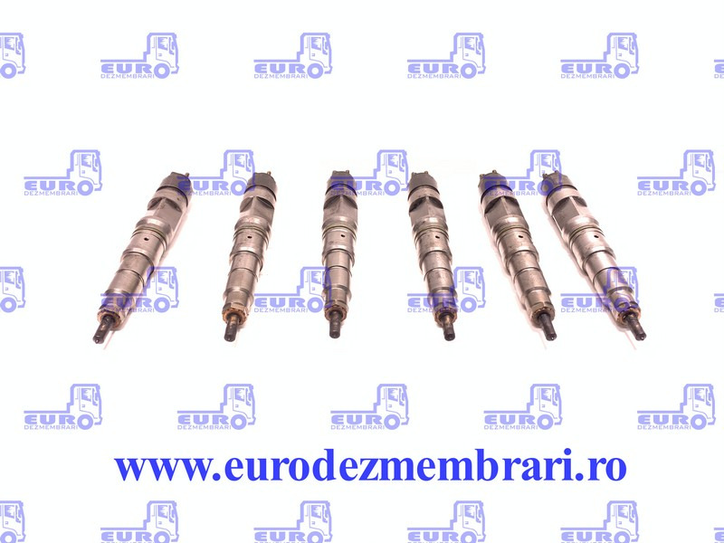 SET INJECTOARE MAN D20 51.10100.6048, 51.10100.6125 - Ubrizgač za Kamion: slika 1 SET INJECTOARE MAN D20 51.10100.6048, 51.10100.6125 - Ubrizgač za Kamion: slika 1