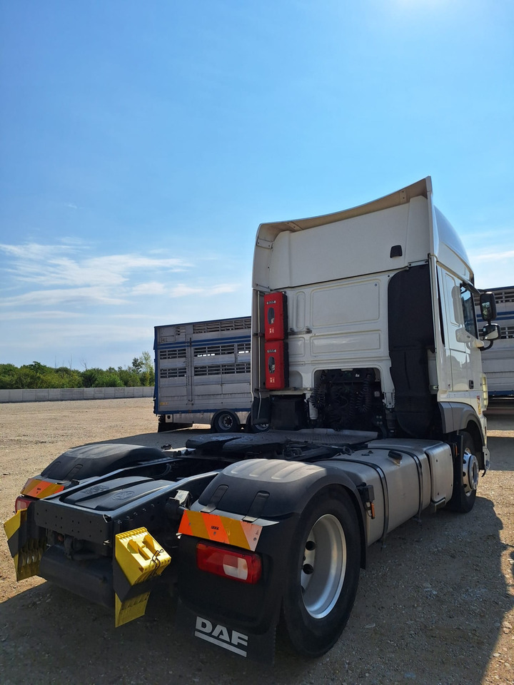 DAF XF 480 - Tegljač: slika 5 DAF XF 480 - Tegljač: slika 5
